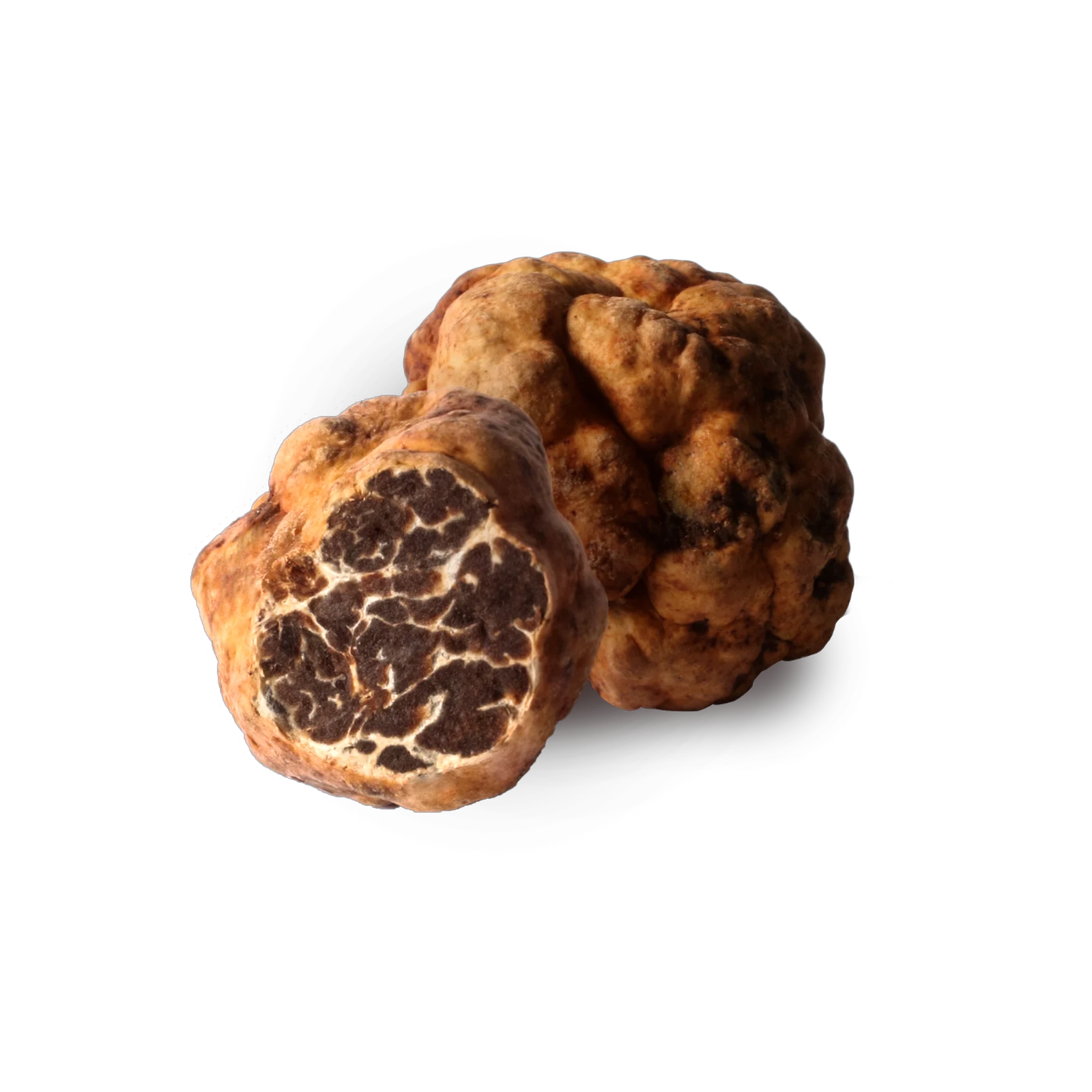 Tartufo bianchetto intero — Savitar Tartufi