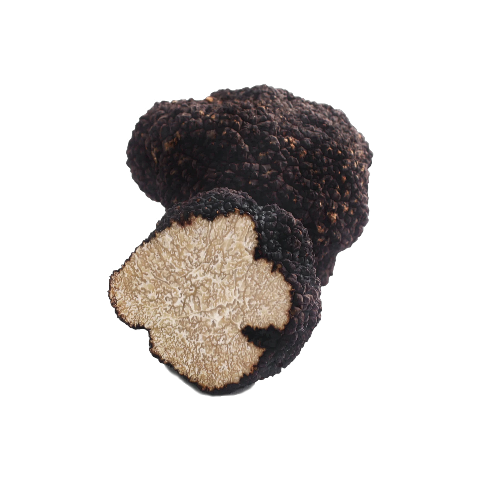 Tartufo nero estivo intero — Savitar Tartufi